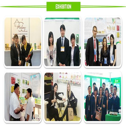 Hb2ea30df3afc452aa8c3203c7d99f8c3l001 Hb2ea30df3afc452aa8c3203c7d99f8c3l001