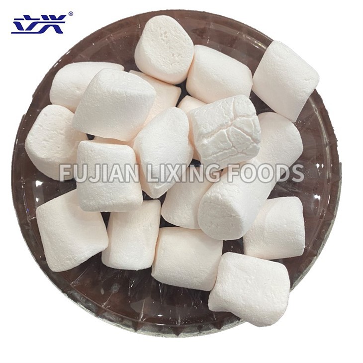 Dried Foods, Instant Tea, Dried Soup Suppliers & Manufacturers & Factory - Fujian Lixing Foods Co.,Ltd