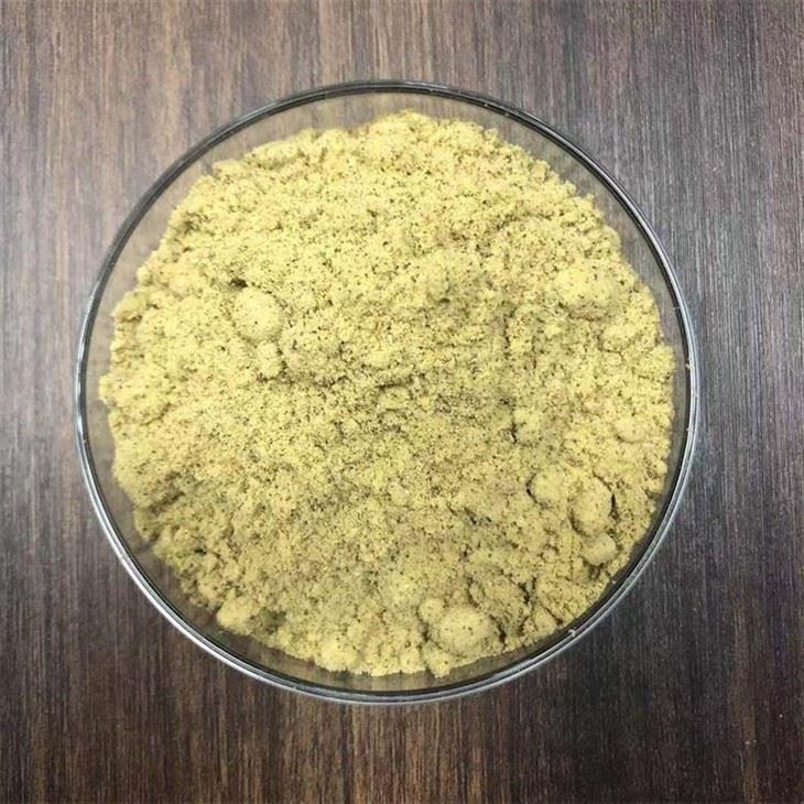 Freeze Dried Orange Juice Powder Manufacturer from China