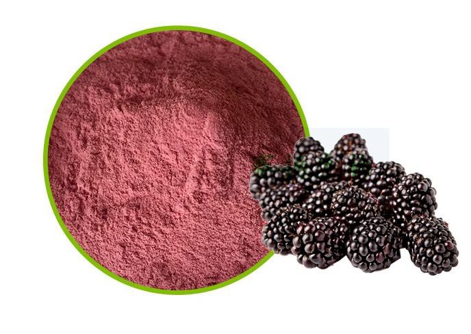 Mulberry Teaf