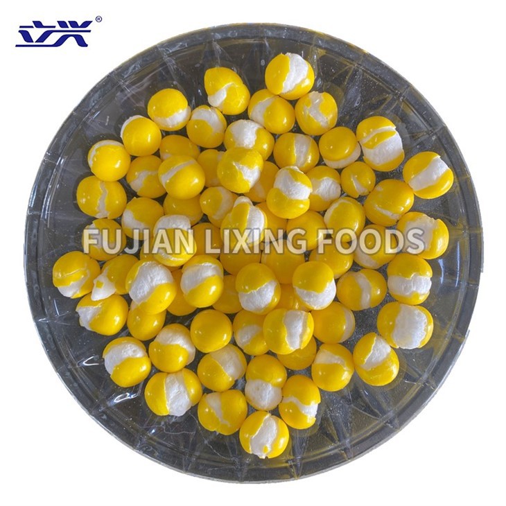 Dried Foods, Instant Tea, Dried Soup Suppliers & Manufacturers & Factory - Fujian Lixing Foods Co.,Ltd